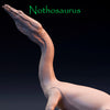 Nothosaurus