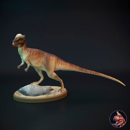 Pachycephalosaurus