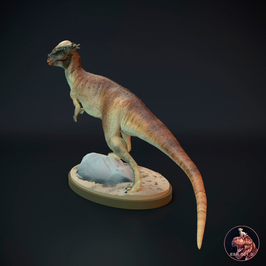 Pachycephalosaurus