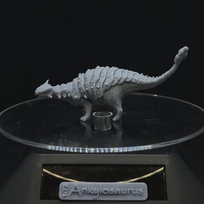 Ankylosaurus