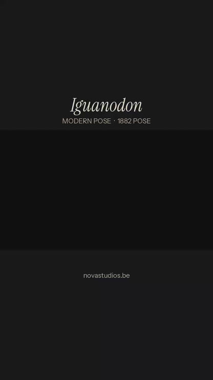 Iguanodon bernissartensis  -MODERN POSE-