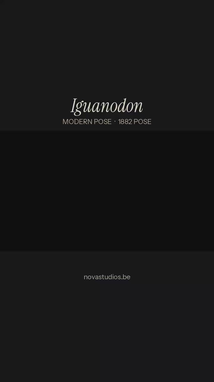Iguanodon bernissartensis  -MODERN POSE-