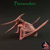 Pteranodon