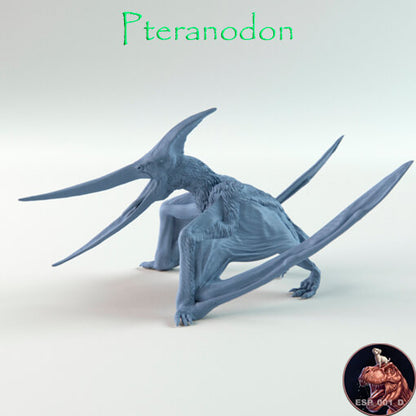 Pteranodon