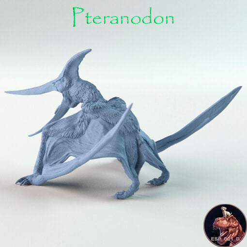 Pteranodon