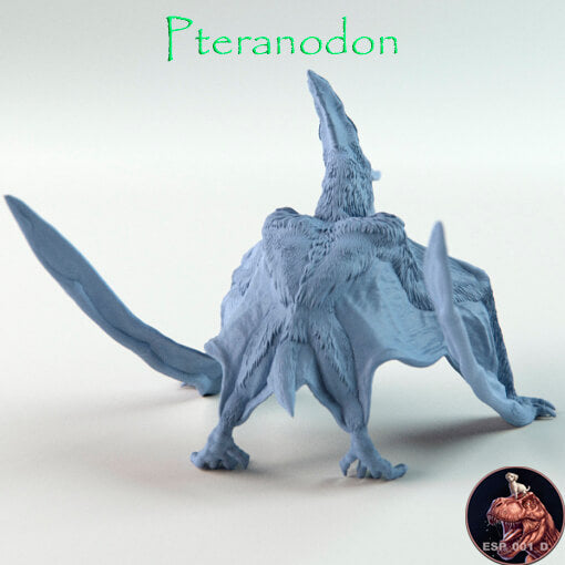 Pteranodon