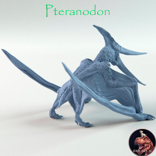 Pteranodon