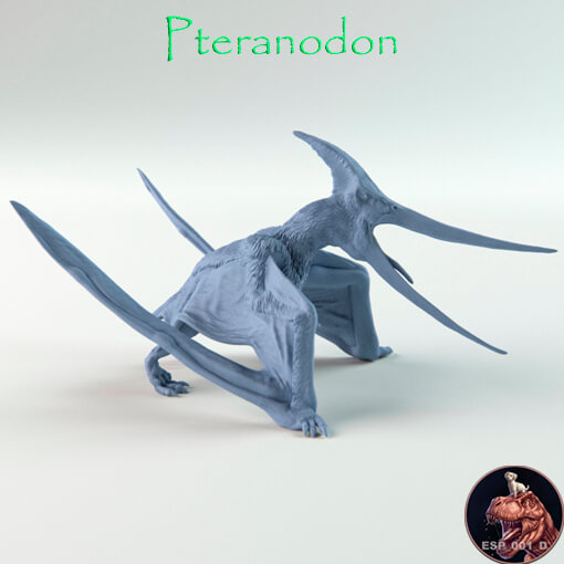 Pteranodon