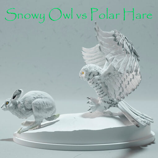 Snowy Owl vs Polar Hare