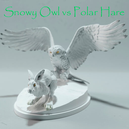 Snowy Owl vs Polar Hare