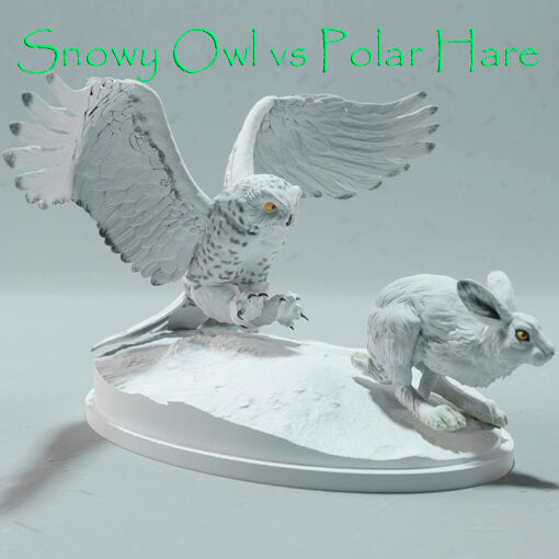 Snowy Owl vs Polar Hare
