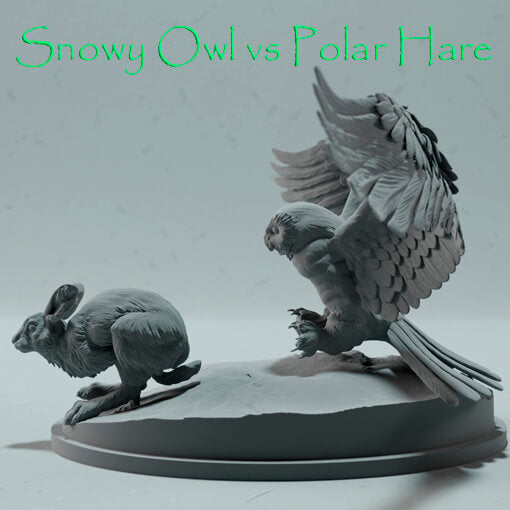Snowy Owl vs Polar Hare