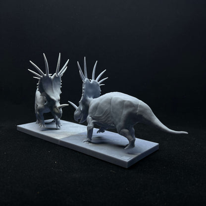 Styracosaurus albertensis