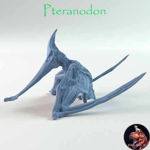 Tylosaurus / Pteranodon