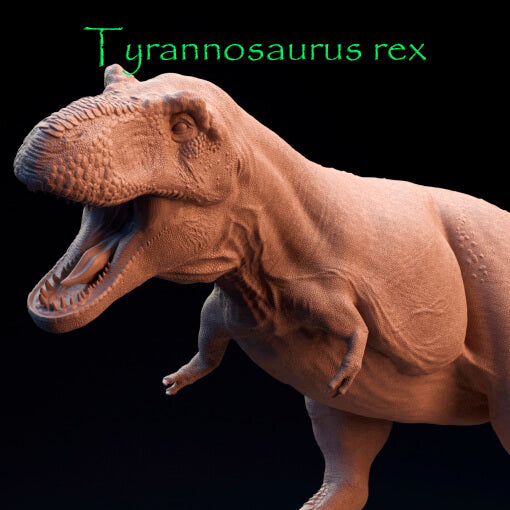 Tyrannosaurus Rex