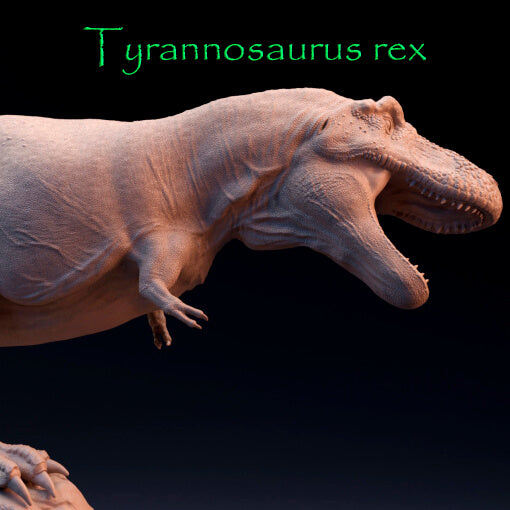 Tyrannosaurus Rex