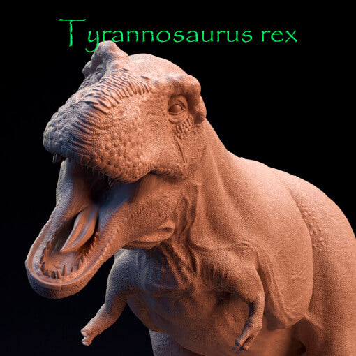 Tyrannosaurus Rex