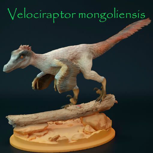 Velociraptor mongoliensis