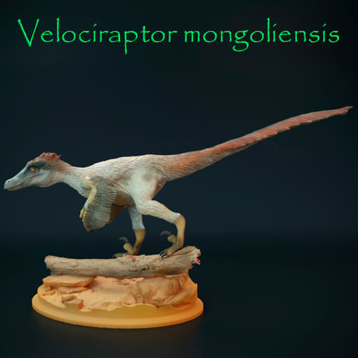 Velociraptor mongoliensis