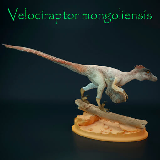 Velociraptor mongoliensis