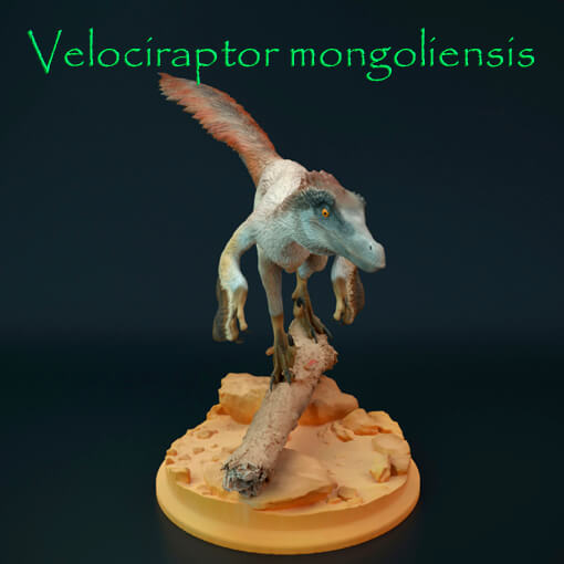 Velociraptor mongoliensis