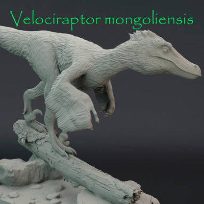 Velociraptor mongoliensis