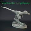 Velociraptor mongoliensis