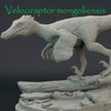 Velociraptor mongoliensis