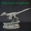 Velociraptor mongoliensis