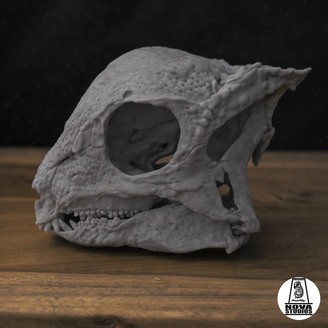 Zavacephale rinpoche skull