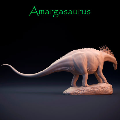 Amargasaurus