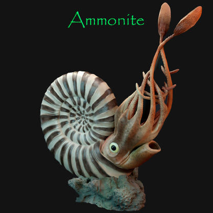 Ammonites