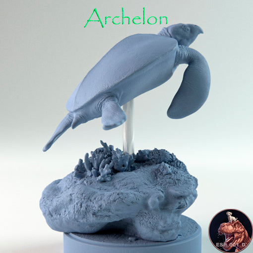 Archelon Rib Archelon – dinosauriacreatures