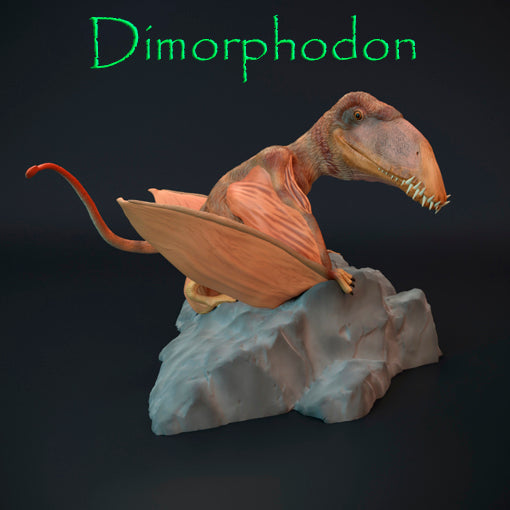 Dimorphodon – Dinosauria Creatures