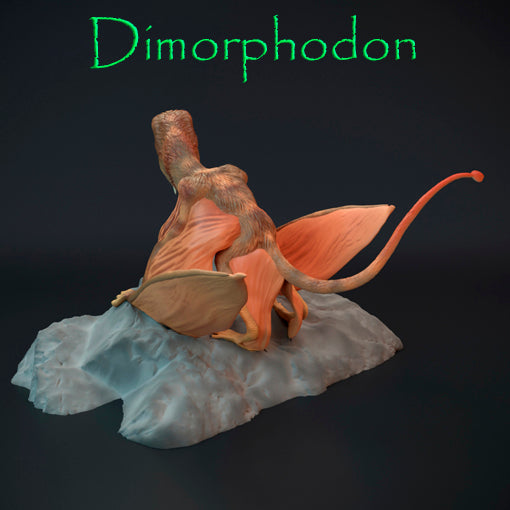 Dimorphodon