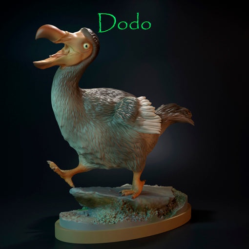 dodo