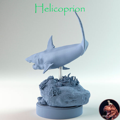 Helicoprion