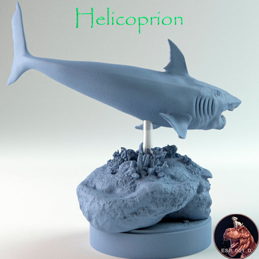 Helicoprion