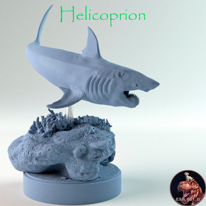 Helicoprion