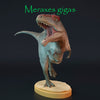 Meraxes gigas