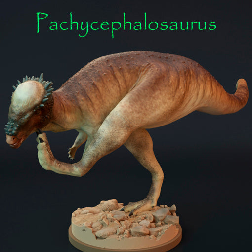 Pachycephalosaurus