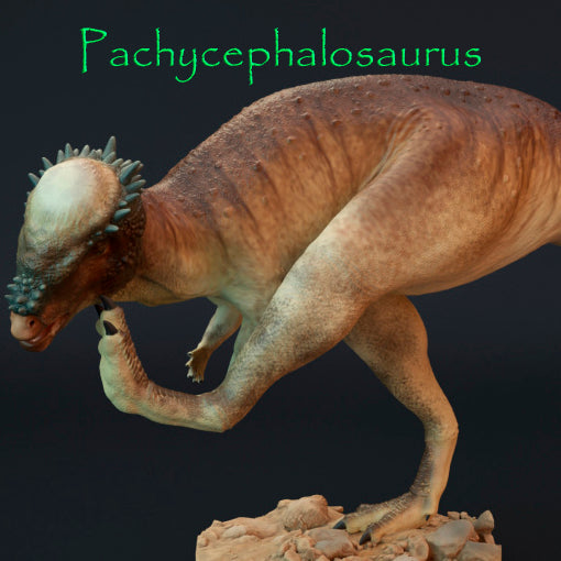 Pachycephalosaurus