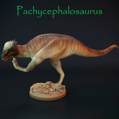 Pachycephalosaurus