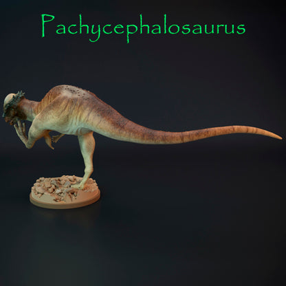 Pachycephalosaurus