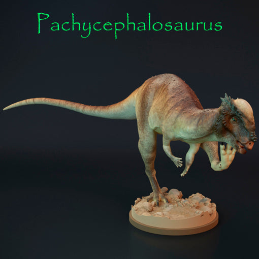 Pachycephalosaurus