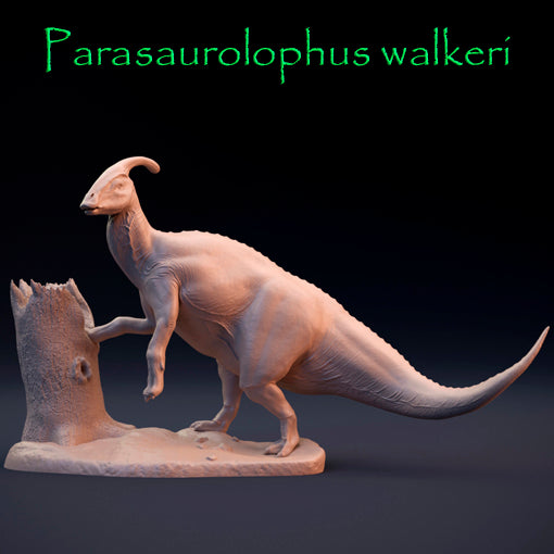 Parasaurolophus walkeri