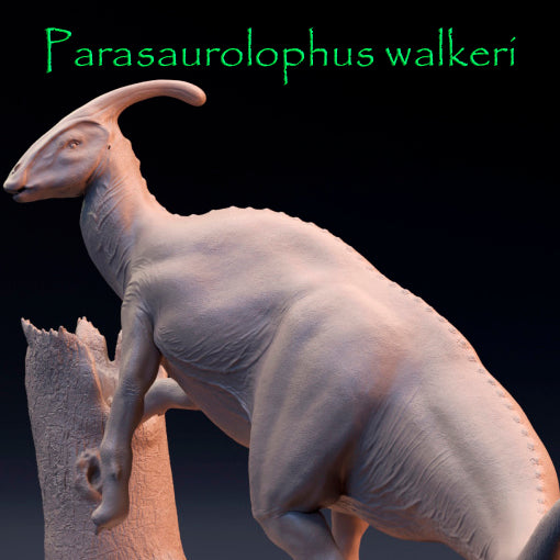 Parasaurolophus walkeri