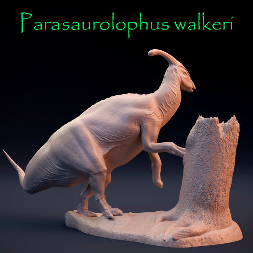 Parasaurolophus walkeri