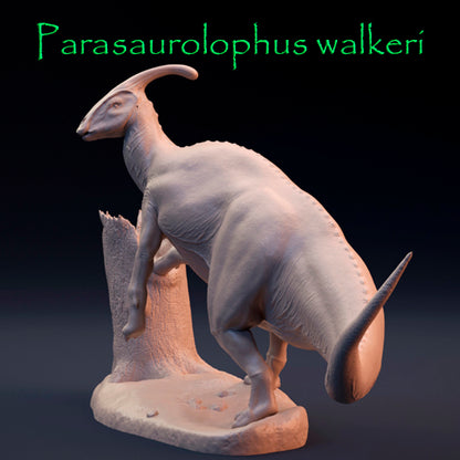 Parasaurolophus walkeri