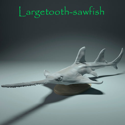 Largetooth sawfish